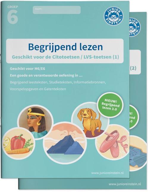 Junior Einstein groep 6 rekenen + begrijpend lezen, Boeken, Studieboeken en Cursussen, Zo goed als nieuw, Overige niveaus, Ophalen