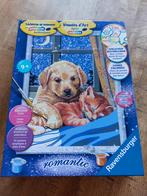 Schilderen op nummer, Ophalen, Nieuw, Jongen of Meisje