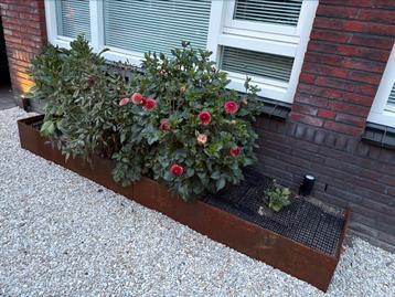 Straightcurve – Flexline 560m x2200mm – Staal – Borderrand beschikbaar voor biedingen