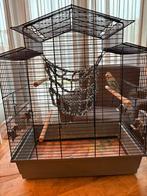 Twee grasparkieten met kooi en speeltjes, Dieren en Toebehoren, Vogels | Hokken en Kooien, Ophalen of Verzenden, Gebruikt, Metaal