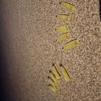 Heksen opzet nagels halloween, Ophalen of Verzenden, Gedragen, Halloween