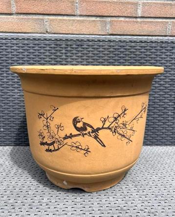 Bonsai pot bruin ongeglazuurd gedecoreerd aardewerk 35,5x28 beschikbaar voor biedingen