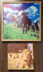 Koe poster canvas wanddecoratie, Verzenden, Zo goed als nieuw