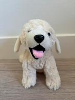 Labrador nieuw, Ophalen of Verzenden, Nieuw, Overige typen