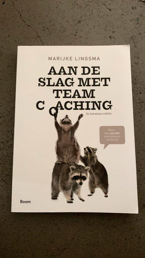 Marijke Lingsma - Aan de slag met teamcoaching, Boeken, Advies, Hulp en Training, Zo goed als nieuw, Ophalen of Verzenden