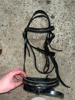 Hoofdstel maat cob, Ophalen of Verzenden, Zo goed als nieuw, Dressuur