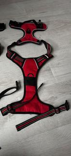 Honden Y tuigje XL, Dieren en Toebehoren, Ophalen of Verzenden, Nieuw