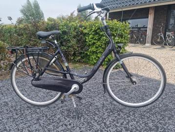 Gazelle Bloom beschikbaar voor biedingen