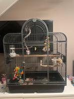Vogelkooi te koop, Ophalen, Zo goed als nieuw, Metaal, Vogelkooi