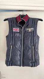 Klassieker-stijlvolle bodywarmer McGregor F1 Williams Racing, McGregor, Gedragen, Blauw, Maat 48/50 (M)