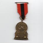 Medaille uit Kapel-Avezaath, Verzenden, Overige materialen, Nederland