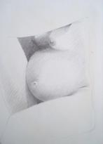 Leo - Verwachtingsvol - potloodtekening -, Ophalen of Verzenden