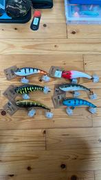 Rozemeijer Tybrid special editions, Watersport en Boten, Ophalen of Verzenden, Nieuw, Overige typen