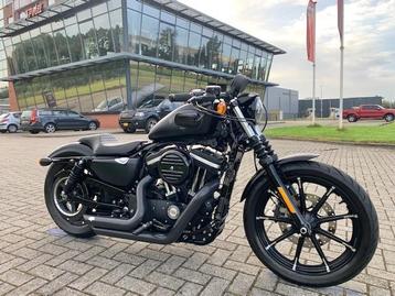 Harley-Davidson XL883N IRON SPORTSTER 2016 (bj 2017) beschikbaar voor biedingen