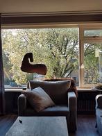 Paard van metaal, Ophalen of Verzenden, Hondenjas