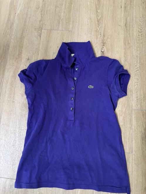 Lacoste polo paars 36-38-40(klein), Kleding | Dames, T-shirts, Gedragen, Maat 38/40 (M), Paars, Korte mouw, Verzenden