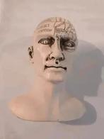 Frenologie Hoofdje, Ophalen of Verzenden