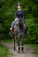 Bijrijder/leaser gezocht, Diensten en Vakmensen, Dieren | Paarden | Verzorging, Oppas en Les, Ruiter of Bijrijder