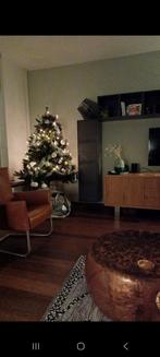Mooie, volle kerstboom, 155cm hoog, Ophalen, Overige typen, Zo goed als nieuw, Minder dan 10 m²