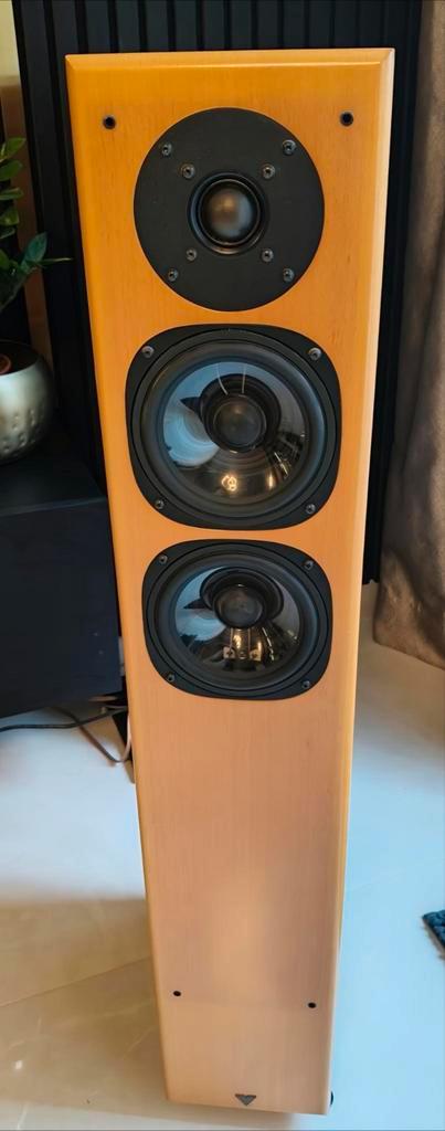 Vienna Acoustics Mozart High End Luidsprekers, Audio, Tv en Foto, Luidsprekers, Zo goed als nieuw, Front, Rear of Stereo speakers