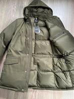 NIEUW! Hugo Boss donzen winterjas maat 52 (L/XL), Kleding | Heren, Maat 52/54 (L), Nieuw, Ophalen of Verzenden, Hugo Boss