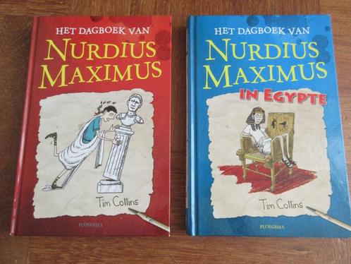 2 x Het dagboek van Nurdius Maximus Dyslexie, Boeken, Kinderboeken | Jeugd | onder 10 jaar, Gelezen, Ophalen of Verzenden