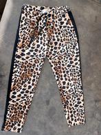 Leuke panterbroek maat S, Bruin, Ophalen of Verzenden, Onbekend, Maat 36 (S)