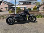 Harley FXDR 114 ruil/inruil Harley, Motoren, Motoren | Harley-Davidson, Particulier, 2 cilinders, Chopper