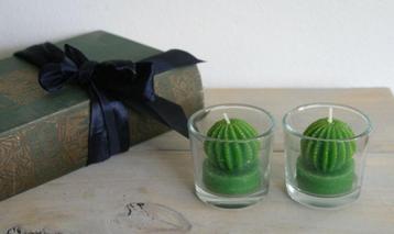 2 kaarsjes in de vorm van een cactus - in glas 