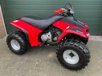 Yamaha quad Yamaha raptor 80cc Yamaha Badger 80cc kinderquad, Motoren, Quads en Trikes