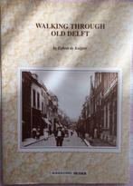 Boeken foto's en geschiedenis van de stad Delft, Boeken, Geschiedenis | Stad en Regio, Ophalen of Verzenden, 20e eeuw of later
