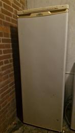 Grote vriezer, Ophalen of Verzenden, Gebruikt, 60 tot 90 cm, 160 cm of meer