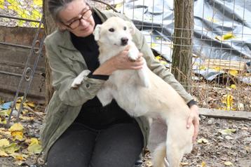 Zachtaardige Xenia ter Adoptie! beschikbaar voor biedingen