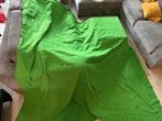 Groen scherm / Green screen 250x250cm, Ophalen, Dik doek, Vierkant, 200 cm of meer