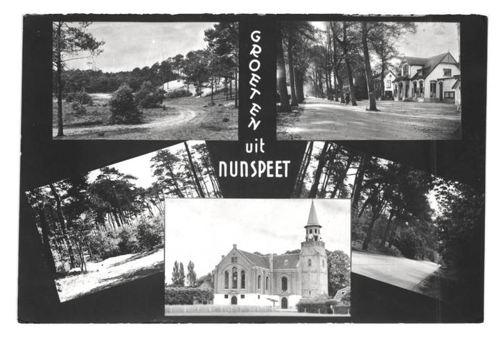981317 Nunspeet Jr 50 60 Gld Gelopen met zegel, Verzamelen, Ansichtkaarten | Nederland, Gelopen, Gelderland, 1960 tot 1980, Ophalen of Verzenden