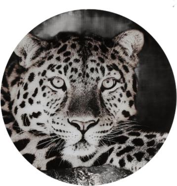 Nieuw Glasschilderij - Luipaard -  rond 50cm beschikbaar voor biedingen