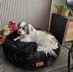 Orthopedische hondenmand, Dieren en Toebehoren, Ophalen, Zo goed als nieuw