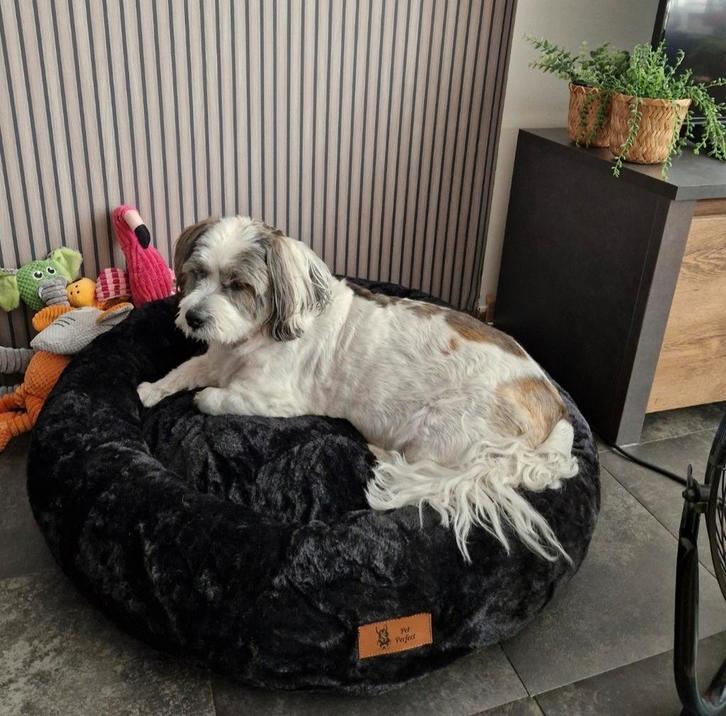 Orthopedische hondenmand, Dieren en Toebehoren, Hondenmanden, Zo goed als nieuw, Ophalen