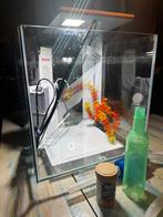 Aquarium Qubiq 30 Pro White met toebehoren, Dieren en Toebehoren, Vissen | Aquaria en Toebehoren, Ophalen, Nieuw, Leeg aquarium