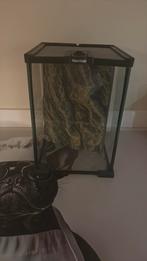 Habistat terrarium, Dieren en Toebehoren, Reptielen en Amfibieën | Toebehoren, Ophalen, Zo goed als nieuw