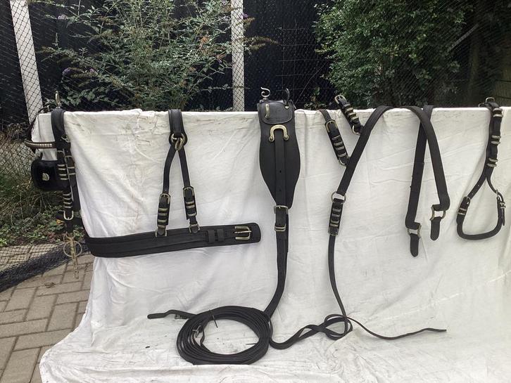 Enkelspan borstuig Full. SHOWTUIG, Dieren en Toebehoren, Paarden en Pony's | Hoofdstellen en Tuigage, Gebruikt, Recreatie, Ophalen of Verzenden