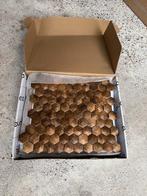 Dune Mozaïektegels - Nieuw in doos, Overige materialen, Wandtegels, Nieuw, 20 tot 40 cm