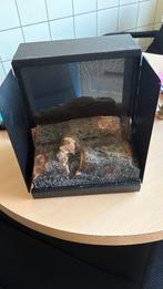 windsor mystique sfeer haard GEZOCHT, Ophalen, Gebruikt, Houtkachel, Inbouw