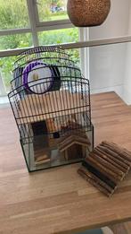 Hamsterkooi met benodigdheden, Dieren en Toebehoren, Knaagdieren en Konijnen | Hokken en Kooien, Kooi, Minder dan 75 cm, Zo goed als nieuw