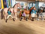 Schleich Manege Set Compleet, Ophalen of Verzenden, Zo goed als nieuw, Jongen of Meisje