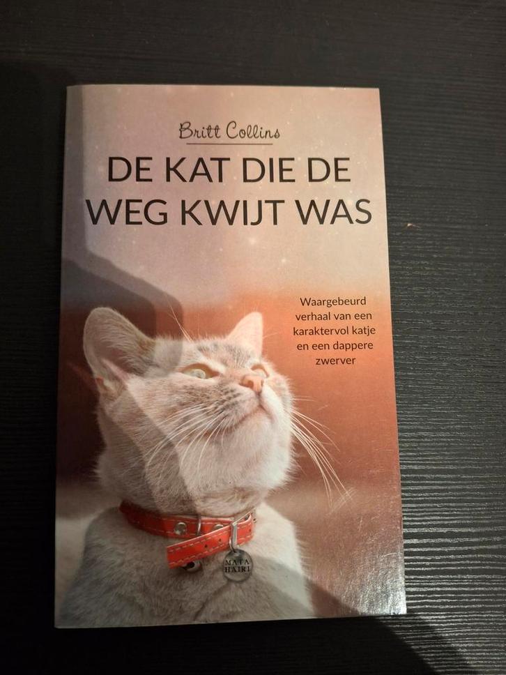 De Kat Die De Weg Kwijt Was - Britt Collins, Boeken, Romans, Zo goed als nieuw, Ophalen of Verzenden