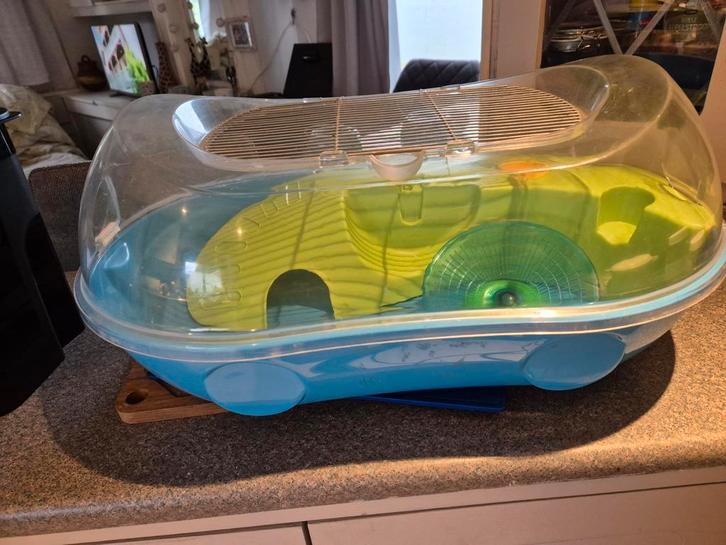 Dwerg Hamster Muizen hokje kooi, Dieren en Toebehoren, Knaagdieren en Konijnen | Hokken en Kooien, Zo goed als nieuw, Hok, Minder dan 60 cm