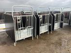 3x Spinder eenlingbox, Dieren en Toebehoren