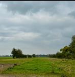 Plek in eigenbeheer  dubbele inloopstal, paddock + eigen wei, Weidegang, 2 of 3 paarden of pony's