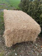 Gras zaad hooi, Ophalen, Vee